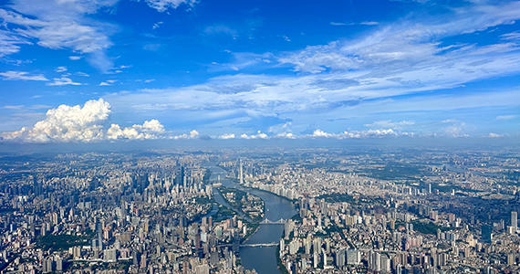 网址域名注册信息查询