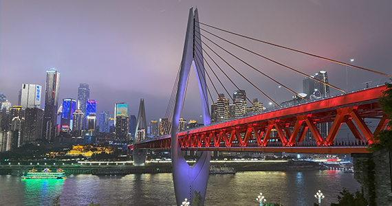 网址查询域名 1080p