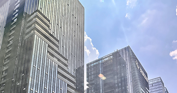 ip网址域名查询网