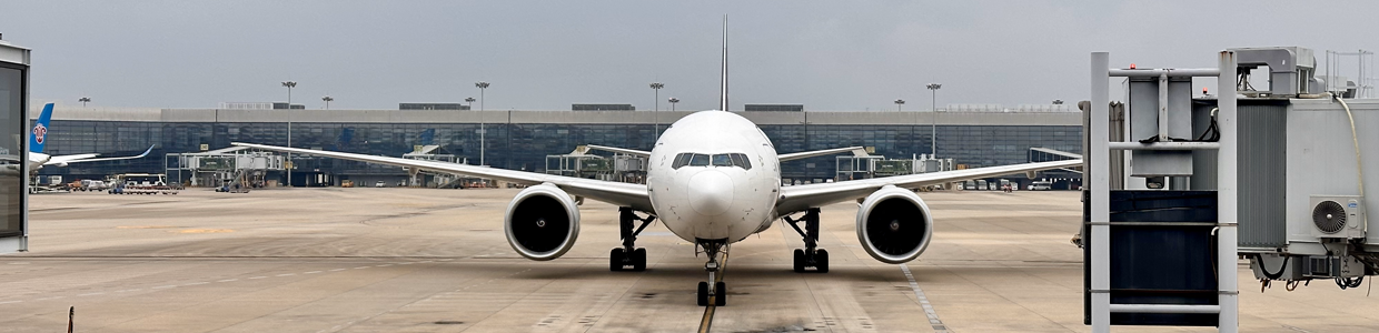 网址域名查询网